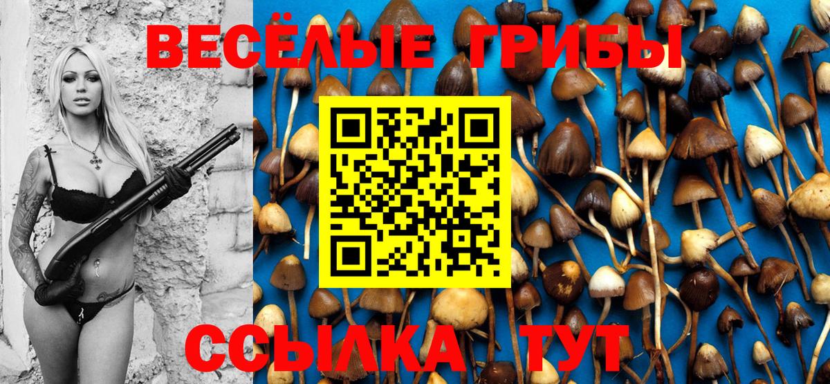 Псилоцибиновые грибы мухоморы Саянск